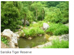 Sariska Tiger Reserve