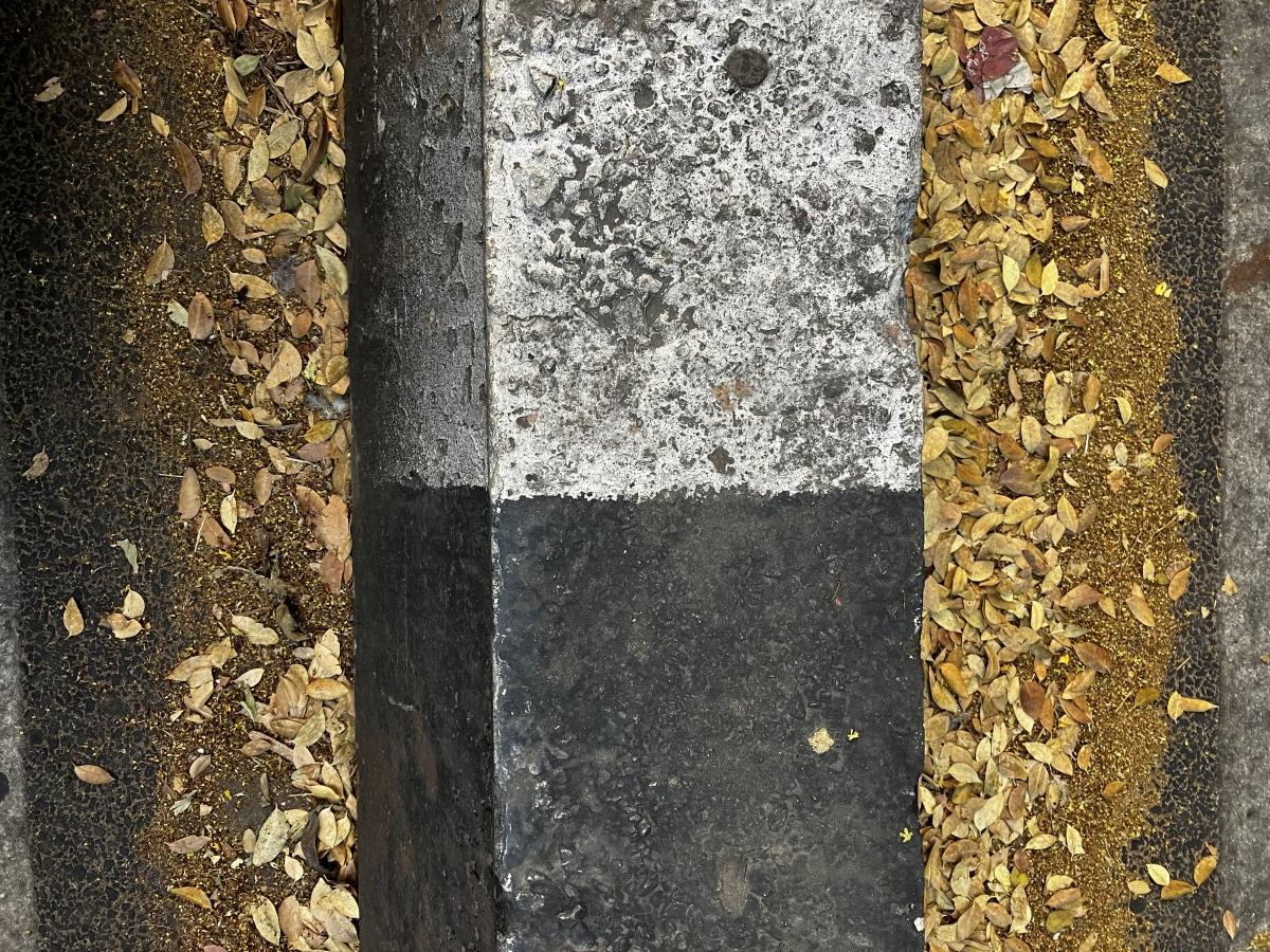 iPhone SE 2022 review