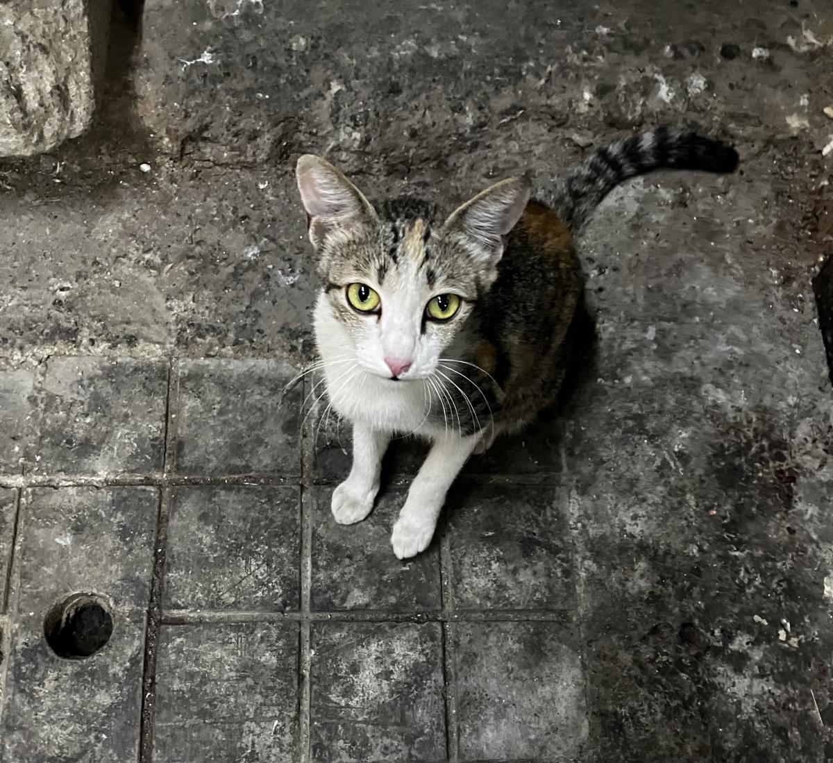 Shot on iPhone SE 2022: