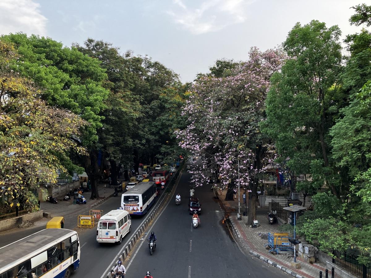 Shot on iPhone SE 2022: