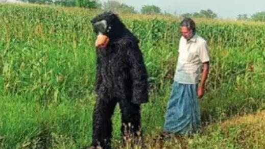 Telangana farmer's innovative trick to protect crops