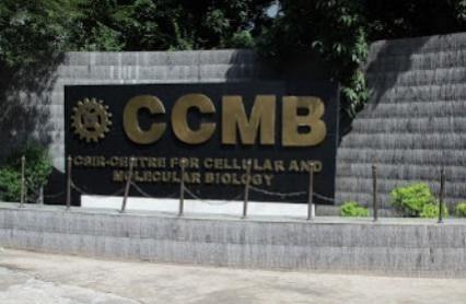 CCMB CCMB
