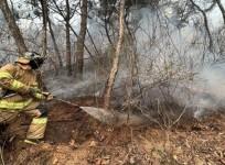 Gangwon Fire Headquarters, a firefighter tries to put out a forest fire in Yanggu, northeastern Korea, April 11, 2022.