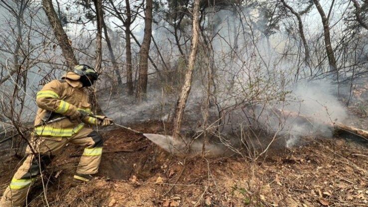 Gangwon Fire Headquarters, a firefighter tries to put out a forest fire in Yanggu, northeastern Korea, April 11, 2022. Gangwon Fire Headquarters, a firefighter tries to put out a forest fire in Yanggu, northeastern Korea, April 11, 2022.
