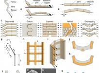 New discovery in animal exoskeletons leads to advances in designing construction materials