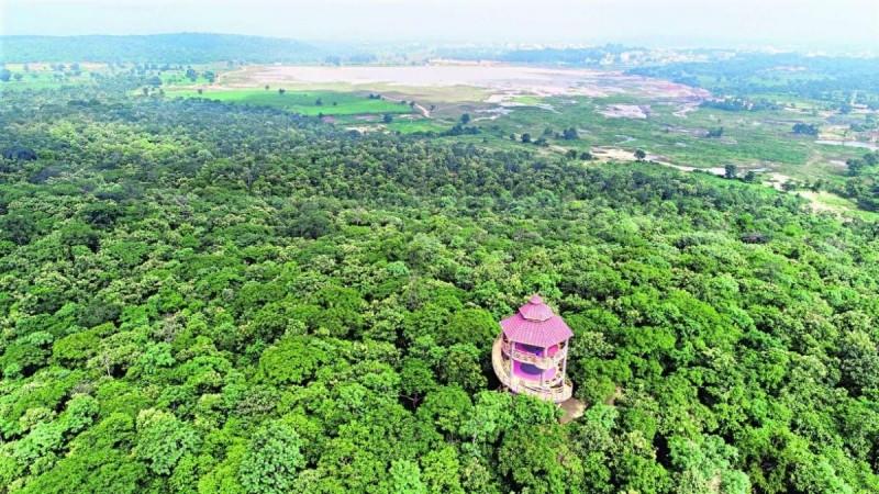 Hyderabad tree city of the world. Hyderabad tree city of the world.