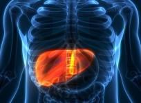 Myths and Facts associated with transmission of Hepatitis virus