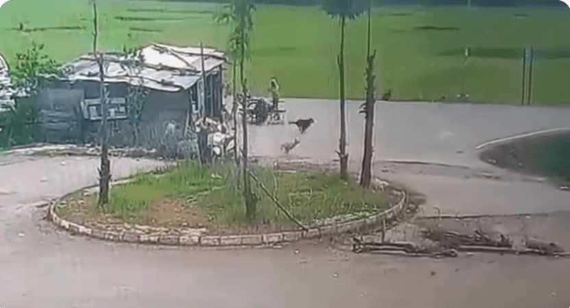 CCTV footage of terror attack