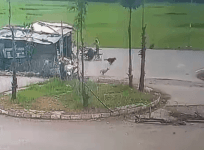 CCTV footage of terror attack