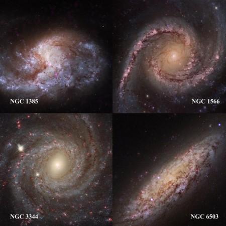 NASA's Chandra telescope finds location of medium-sized black holes. (Photo:NASA) NASA's Chandra telescope finds location of medium-sized black holes. (Photo:NASA)