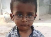 stray dogs maul child to death in Hyderabad.