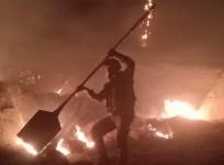 Forest Fire