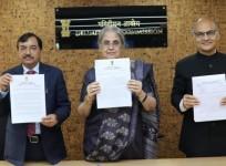 Delimitation commission