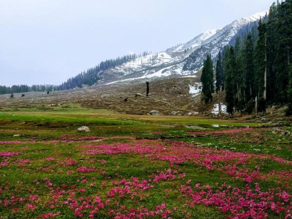Tourist spots of J&K