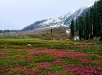 Tourist spots of J&K