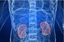 Kidney damage is the silent killer in Covid patients, say USA's top docs