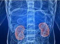 Kidney damage is the silent killer in Covid patients, say USA's top docs