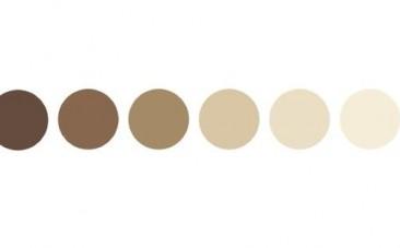 Google's new 10-shade skin tone scale to boost inclusivity, cut AI bias