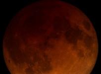 A telescopic visualization of the total lunar eclipse, happening May 15-16, 2022.(Credits: NASA/Goddard/Ernie Wright)