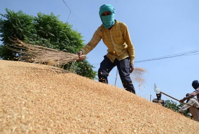 Amritsar:Labourers work on the newly arrived wheat grain at a wholesale grain market in Amritsar, Saturday, April 16, 2022. The planting of the wheat crop begins around the month of October every year and runs through the end of December.(Photo:Pawan shar