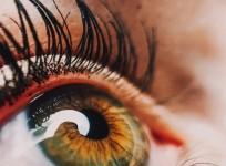 Eyes