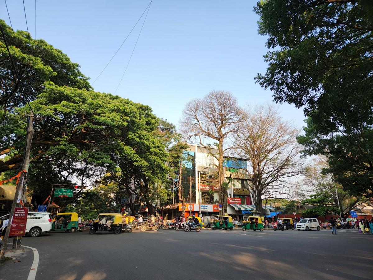 Samsung Galaxy S22  camera sample