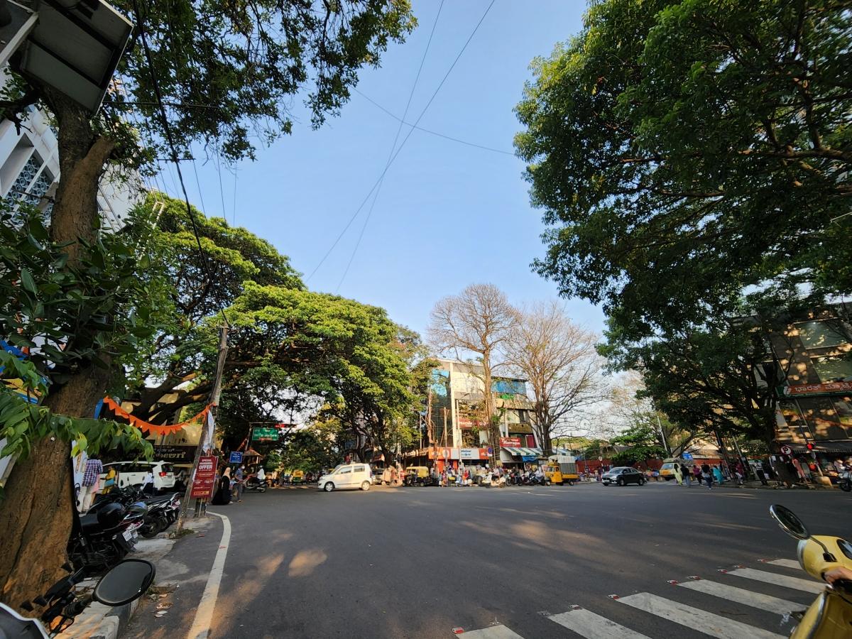 Samsung Galaxy S22  camera sample