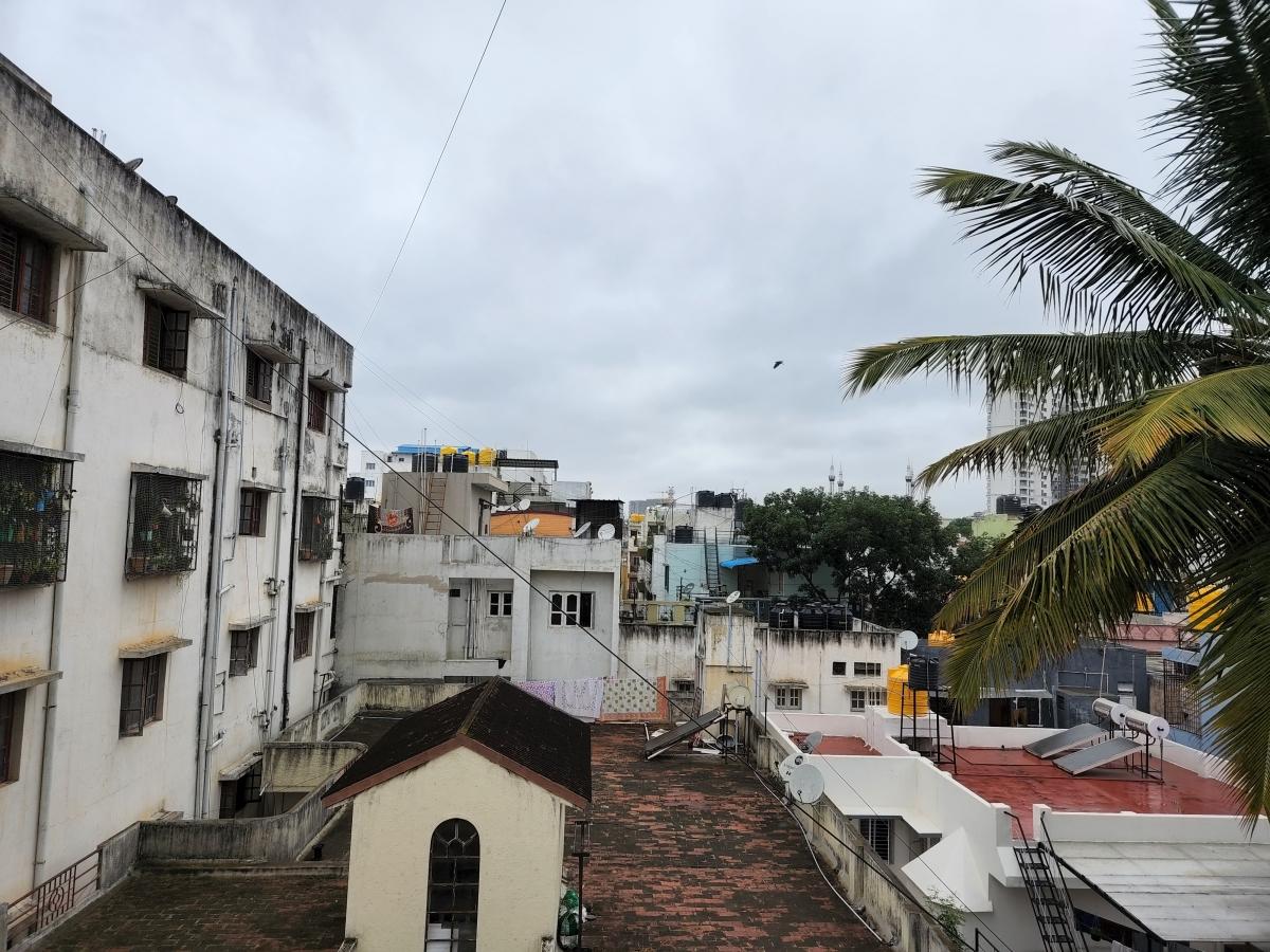 Samsung Galaxy S22  camera sample