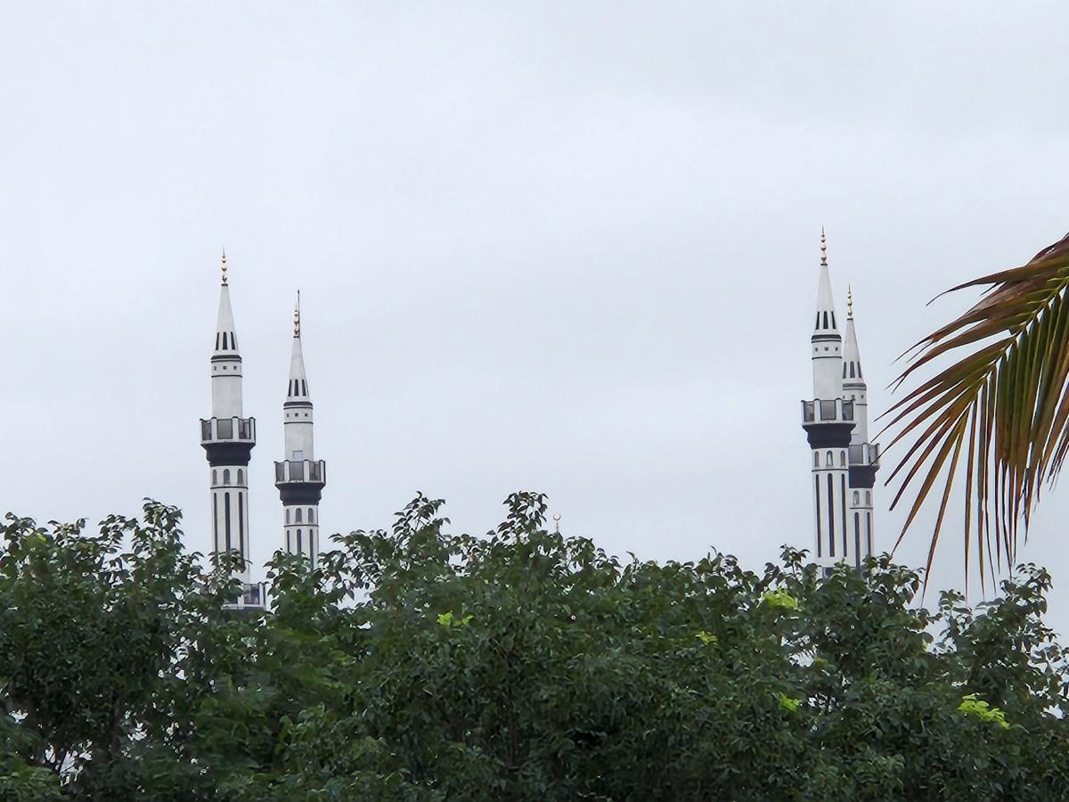 Samsung Galaxy S22  camera sample