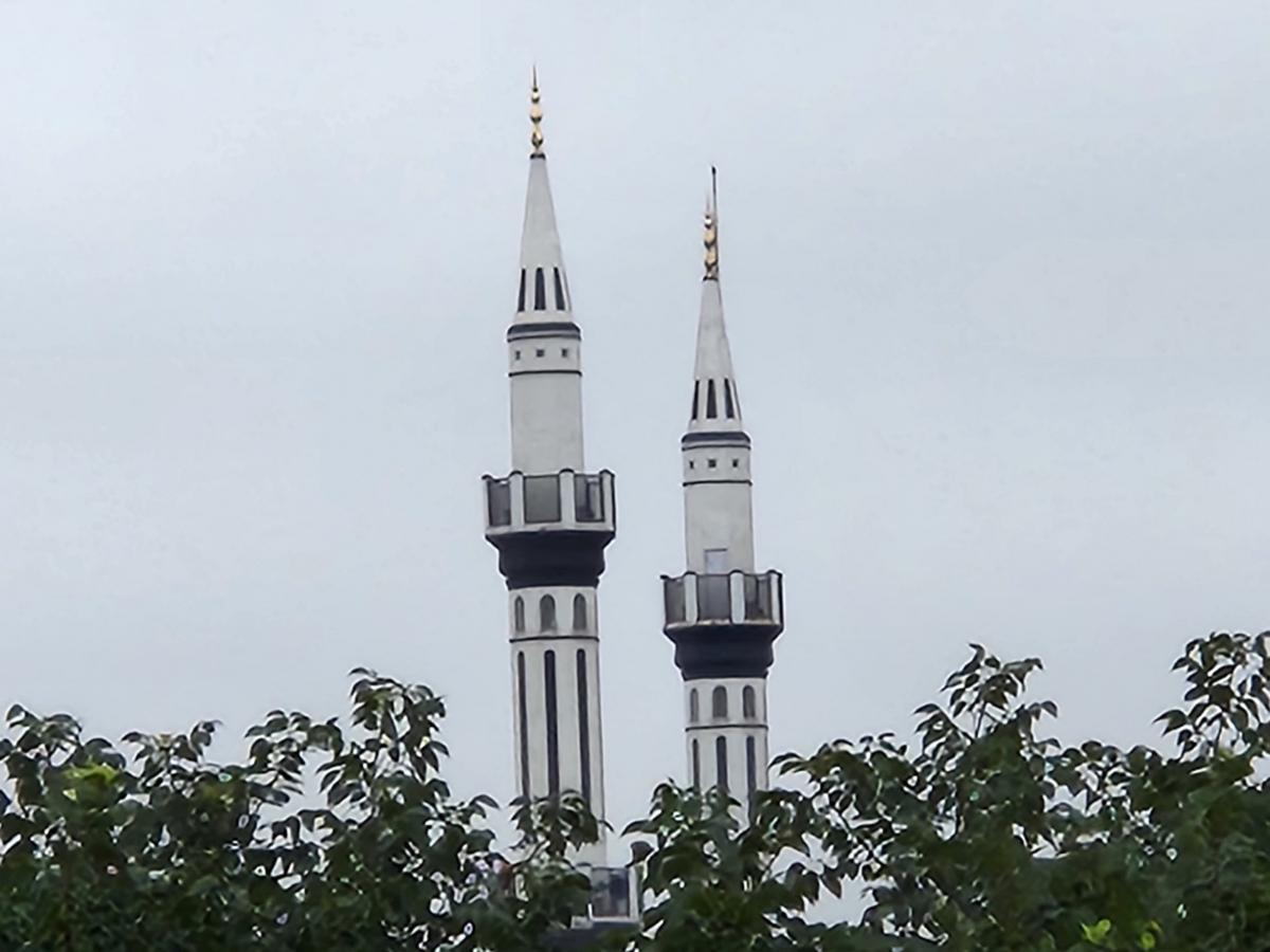 Samsung Galaxy S22  camera sample