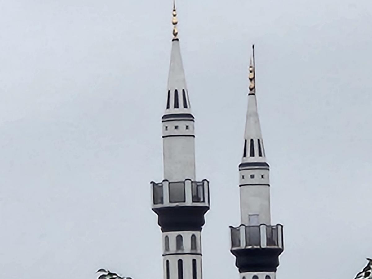 Samsung Galaxy S22  camera sample