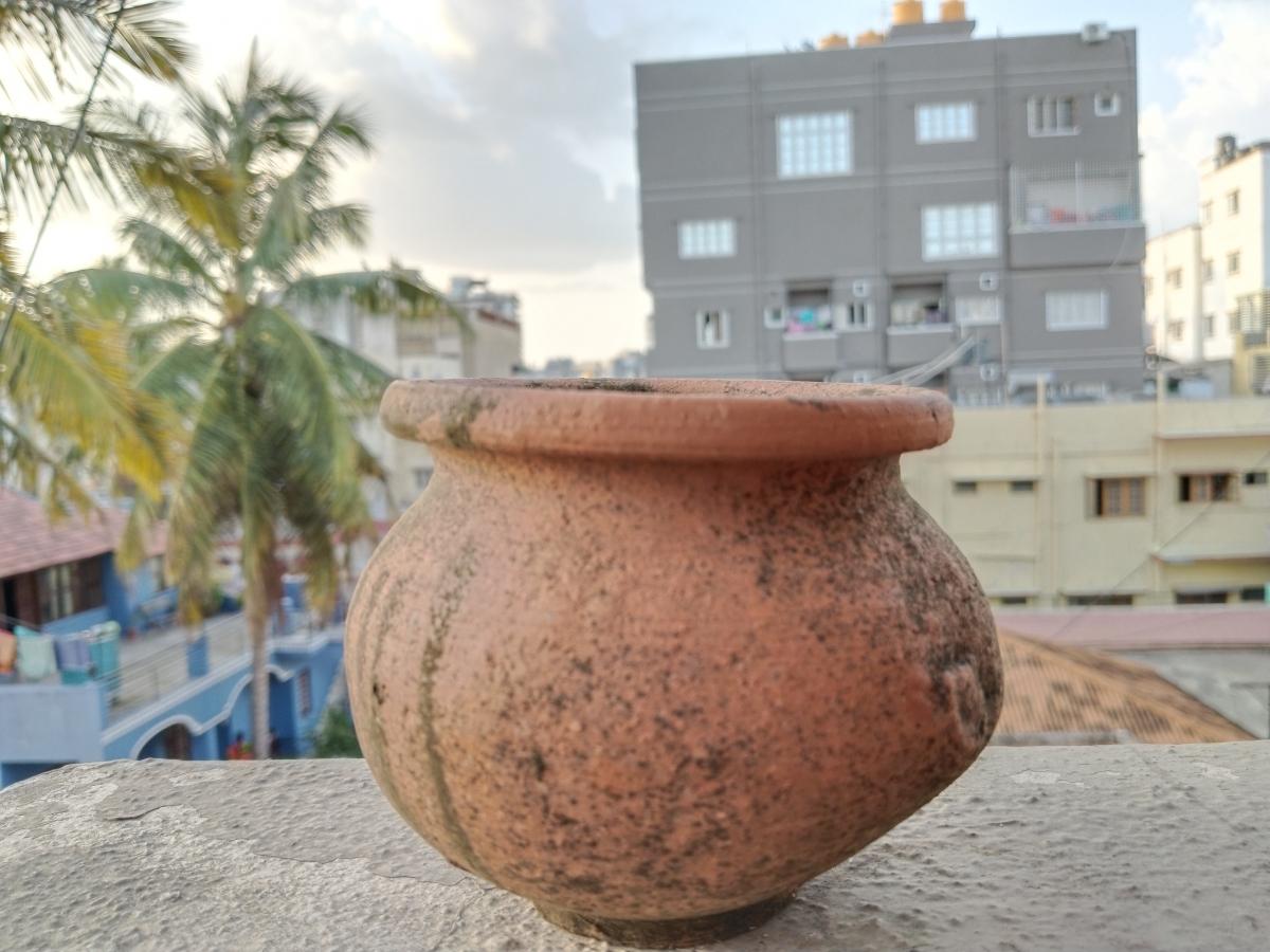 Vivo T1 5G camera sample Vivo T1 5G camera sample