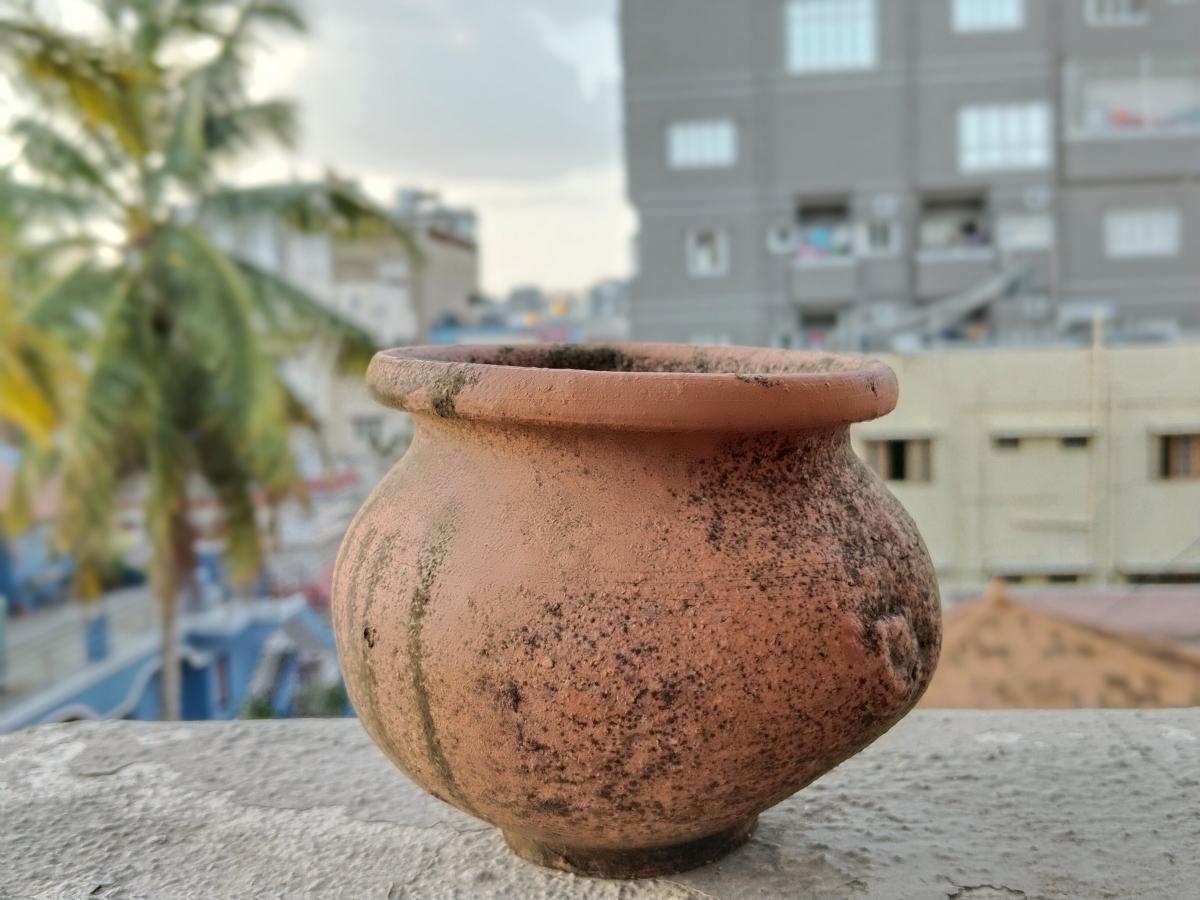 Vivo T1 5G camera sample in Portrait mode Vivo T1 5G camera sample