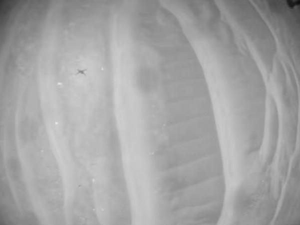 NASA's Ingenuity Mars helicopter captures record-breaking flight video. NASA's Ingenuity Mars helicopter captures record-breaking flight video.
