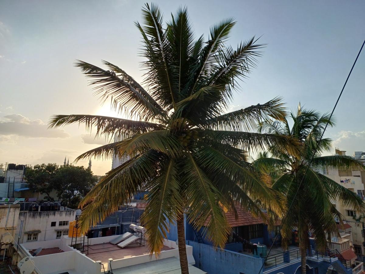 Samsung Galaxy M53 5G camera sample Samsung Galaxy M53 5G camera sample