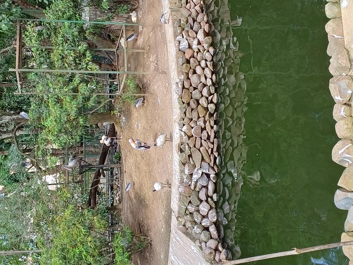 Samsung Galaxy M53 5G camera sample Samsung Galaxy M53 5G camera sample