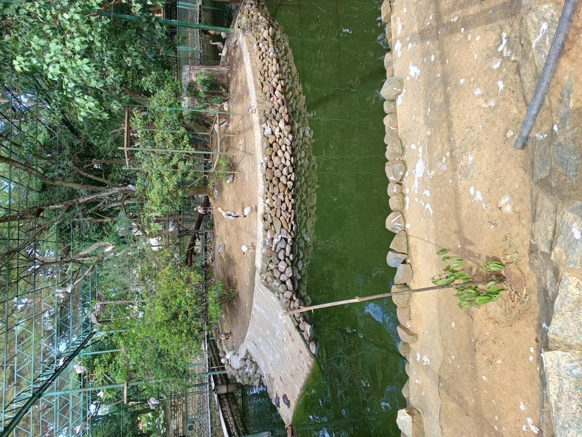 Samsung Galaxy M53 5G camera sample: Ultra wide Samsung Galaxy M53 5G camera sample