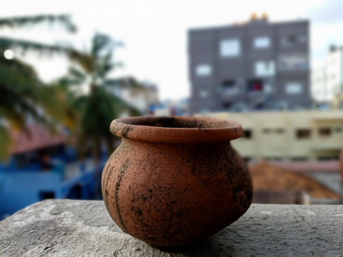 Samsung Galaxy M53 5G camera sample: Portrait Samsung Galaxy M53 5G camera sample