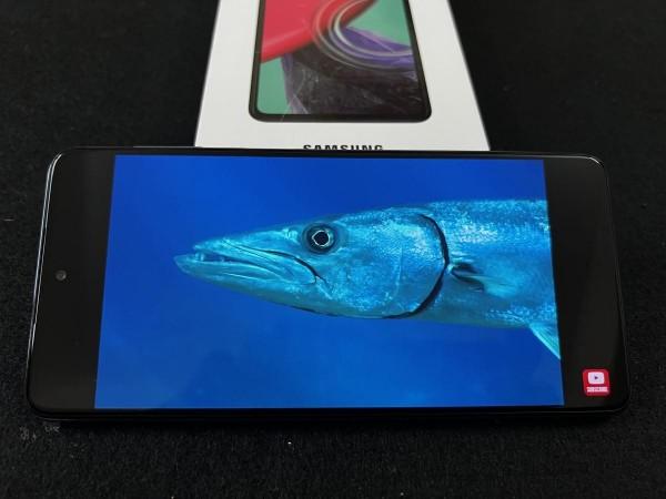 Samsung Galaxy M53 5G review Samsung Galaxy M53 5G review