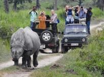 Over 64 % tourists increase in Assam's Kaziranga national park, revenue collection doubled