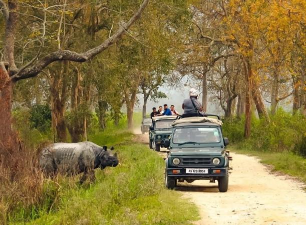 Kaziranga national park Kaziranga national park