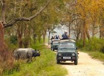 Over 64 % tourists increase in Assam's Kaziranga national park, revenue collection doubled