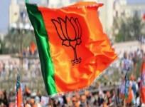 BJP Flag