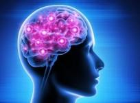 brighter brain