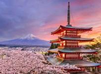 Japan reopens borders to some foreign tourists after 2 years