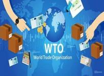 World Trade Organisation