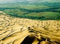 Mongolia to build 'green wall' to combat desertification