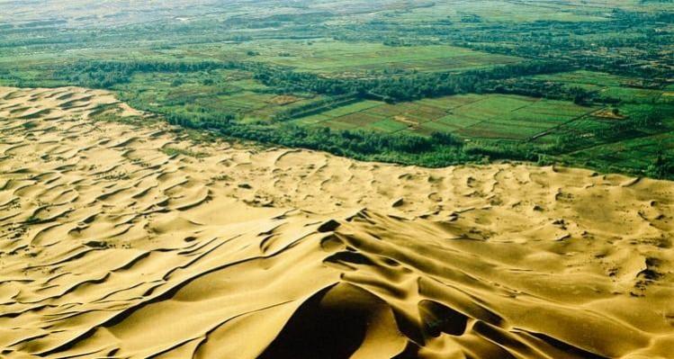 Mongolia to build 'green wall' to combat desertification