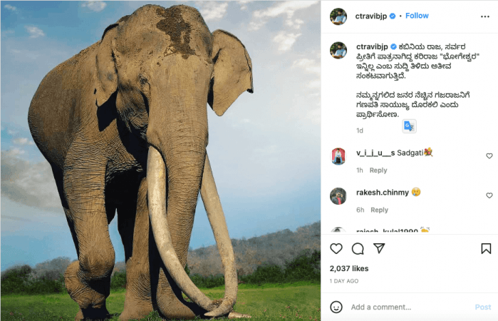 Wildlife lovers mourn death of 70-yr-old jumbo with longest tusks Wildlife lovers mourn death of 70-yr-old jumbo with longest tusks