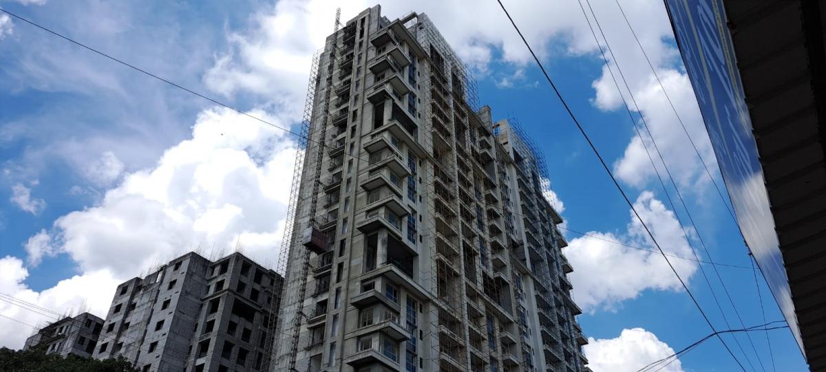 Samsung Galaxy A53 camera sample